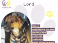 Lord