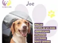 Joe