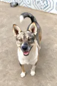 Ivan