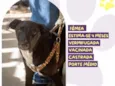 Atena