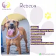 Rebeca