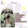 Fubá