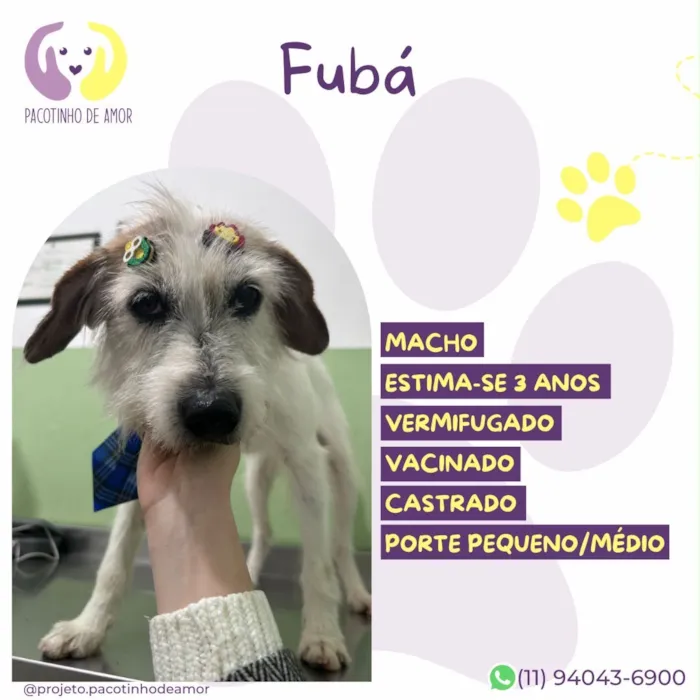Cachorro raça SRD-ViraLata idade 3 anos nome Fubá