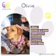 Olivia