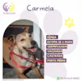 Carmela