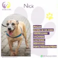 Nick