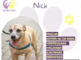 Nick