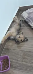 Duke