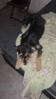 Beth e Mabel