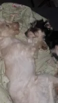 Beth e Mabel
