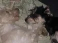 Beth e Mabel