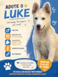 Luke