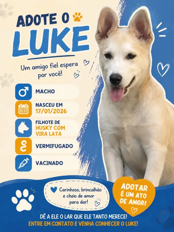 Cachorro raça SRD-ViraLata idade 2 a 6 meses nome Luke