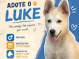 Luke
