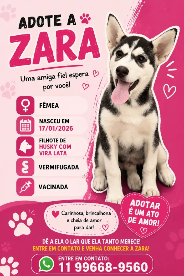 Cachorro raça SRD-ViraLata idade 2 a 6 meses nome Zara
