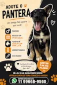 Pantera