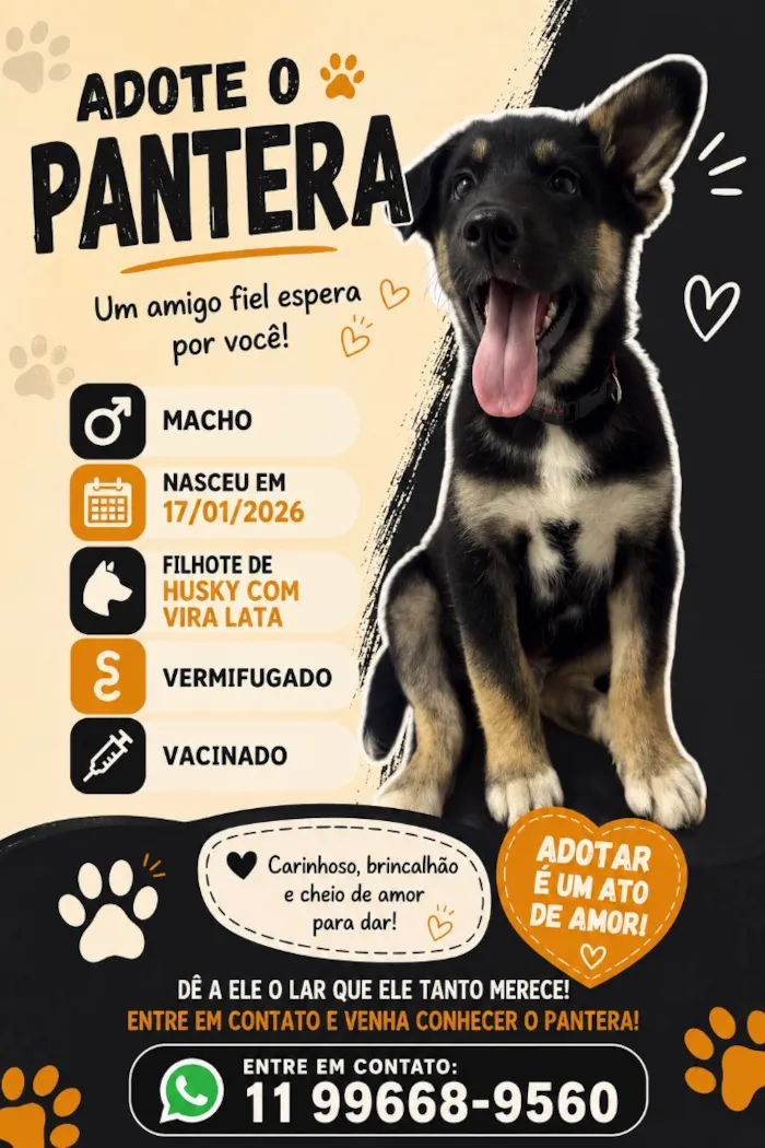 Cachorro raça SRD-ViraLata idade 2 a 6 meses nome Pantera
