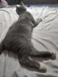 Tom