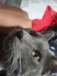 Tom