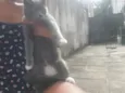 Tom