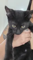 Bruce
