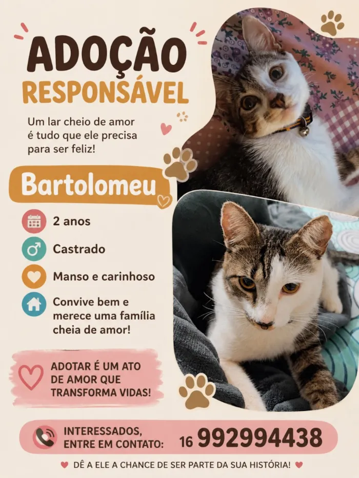 Cachorro raça  idade 2 anos nome Bartolomeu