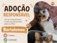 Bartolomeu