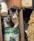 macho ou fêmea não sabemos BEBÊ