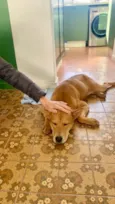 Caramela