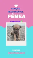 sem nome