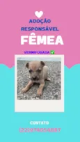 sem nome