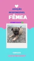 sem nome