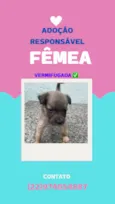 sem nome