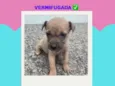 sem nome