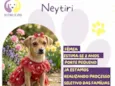 Neytiri