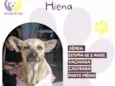 Hiena
