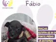 Fábio