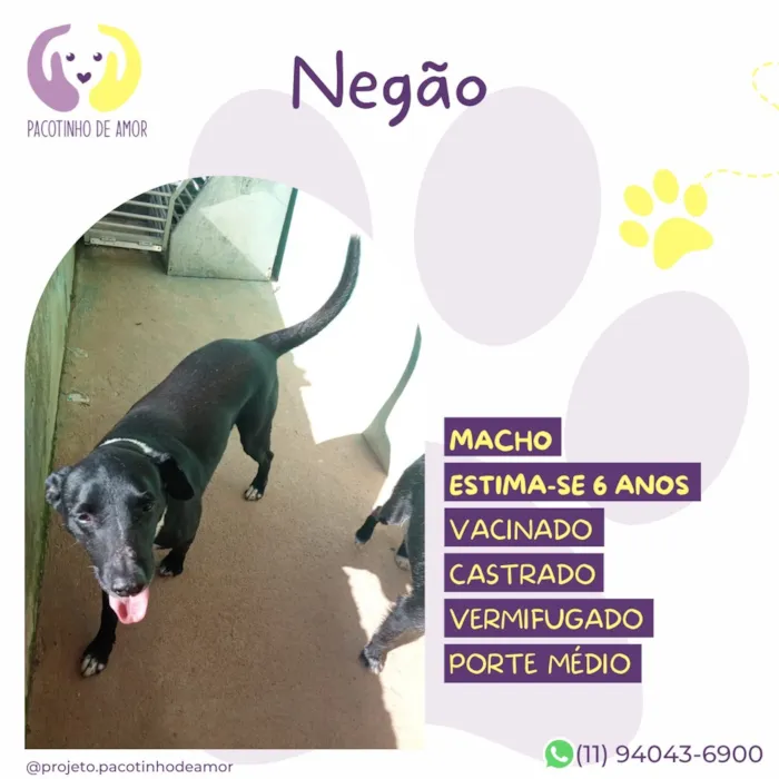 Cachorro raça SRD-ViraLata idade 6 ou mais anos nome Negão