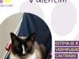 Valentim