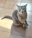 Cleo
