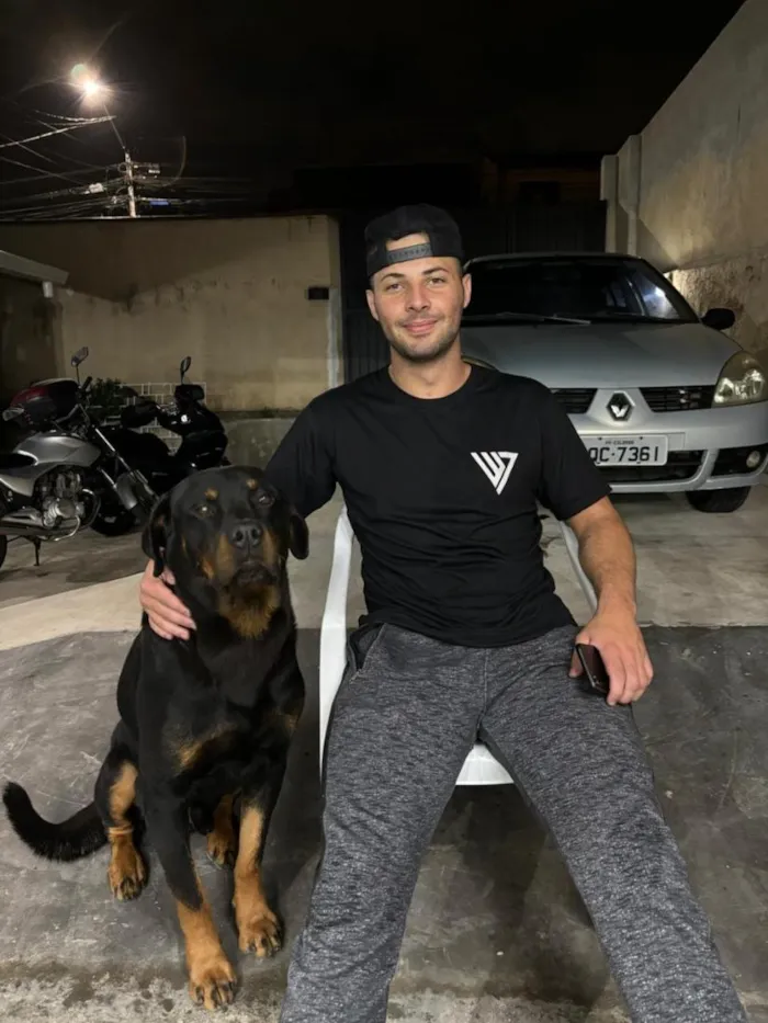 Cachorro raça Rottweiler idade 6 ou mais anos nome Zeus
