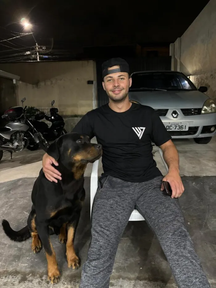 Cachorro raça Rottweiler idade 6 ou mais anos nome Zeus