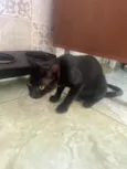 Miguel 