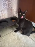 Miguel 