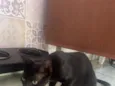 Miguel 
