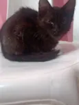 Ritinha
