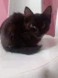 Ritinha