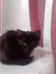 Ritinha