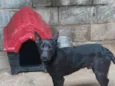 Eros