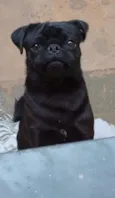 Bruce 